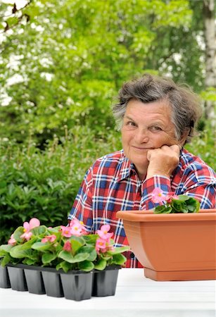 simsearch:400-04439731,k - Senior woman - gardening Photographie de stock - Aubaine LD & Abonnement, Code: 400-04229346