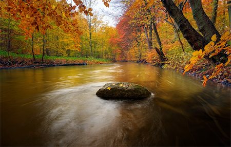 simsearch:400-04276166,k - autumn by a river running through a forest Foto de stock - Royalty-Free Super Valor e Assinatura, Número: 400-04229349