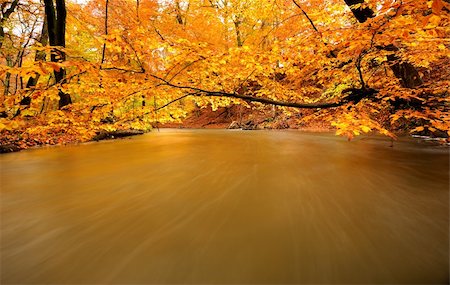 simsearch:400-04276166,k - autumn by a river running through a forest Foto de stock - Royalty-Free Super Valor e Assinatura, Número: 400-04229363