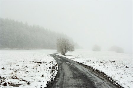 Shot of the snowy winter landscape with dirt road Photographie de stock - Aubaine LD & Abonnement, Code: 400-04220392
