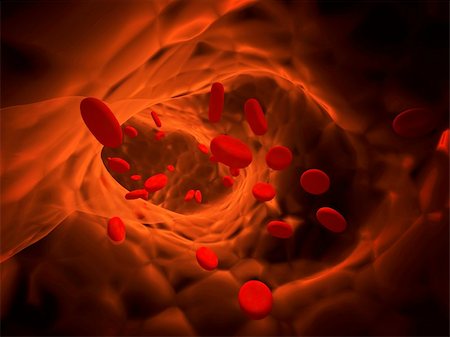 Many red erythrocytes, floating on an artery Stock Photo - Budget Royalty-Free & Subscription, Code: 400-04221068