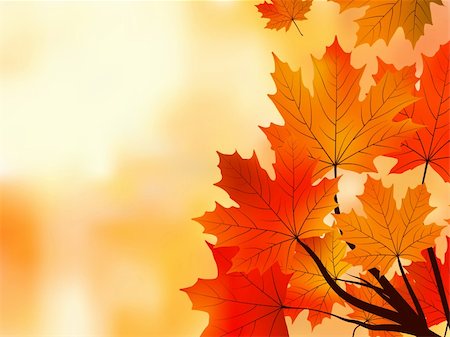 Red fall maple tree leaves, shallow focus. EPS 8 vector file included Stock Photo - Budget Royalty-Free & Subscription, Code: 400-04221568