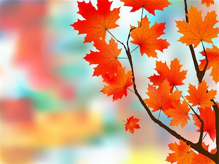 simsearch:400-04408167,k - Autumn leaves, very shallow focus. EPS 8 vector file included Stock Photo - Budget Royalty-Free & Subscription, Code: 400-04221628