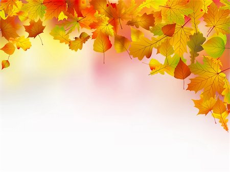 Autumn leaves border for your text. EPS 8 vector file included Stock Photo - Budget Royalty-Free & Subscription, Code: 400-04222162