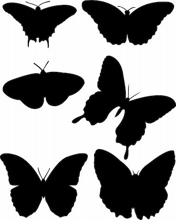 simsearch:400-06107863,k - collection of butterfly silhouette - vector Fotografie stock - Microstock e Abbonamento, Codice: 400-04222741