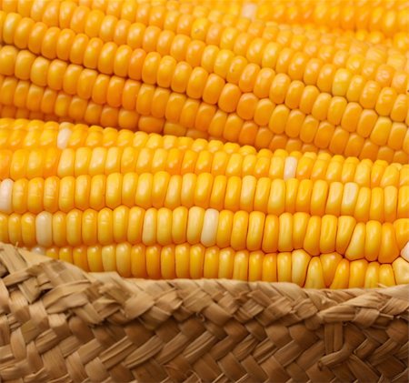 simsearch:824-07310382,k - Close up of corn Stockbilder - Microstock & Abonnement, Bildnummer: 400-04222983