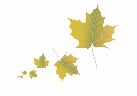 simsearch:400-07548535,k - Autumn leafs illustration Fotografie stock - Microstock e Abbonamento, Codice: 400-04223846