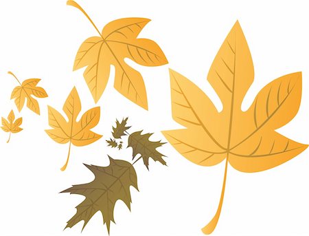 simsearch:400-07548535,k - Autumn leafs illustration Fotografie stock - Microstock e Abbonamento, Codice: 400-04223847