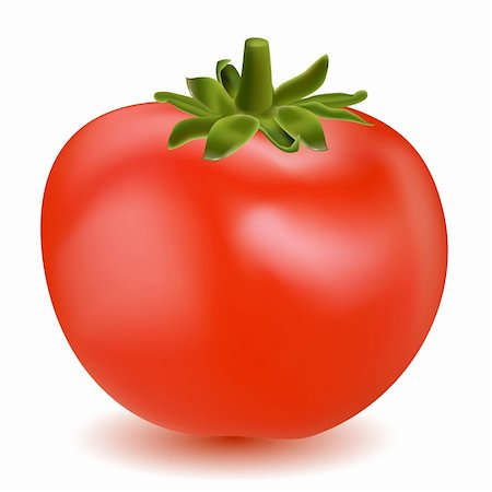 simsearch:400-05075296,k - illustration of tomato vegetable on white background Stock Photo - Budget Royalty-Free & Subscription, Code: 400-04234084