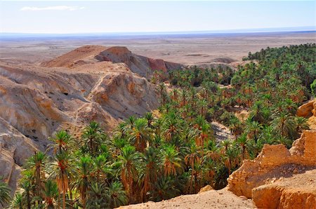 An oasis in the mountainous part of the Sahara Desert Stock Photo - Budget Royalty-Free & Subscription, Code: 400-04234307