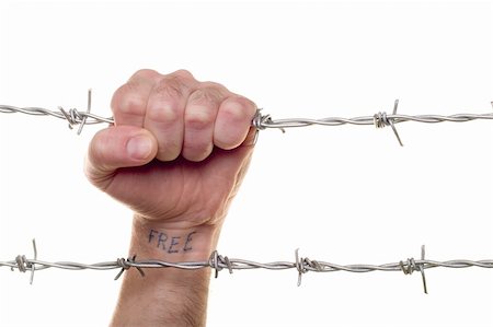 fist & barbed wire Stock Photo - Budget Royalty-Free & Subscription, Code: 400-04235065