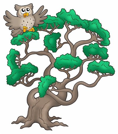 simsearch:400-04267385,k - Big pine tree with cartoon owl - color illustration. Stockbilder - Microstock & Abonnement, Bildnummer: 400-04235797