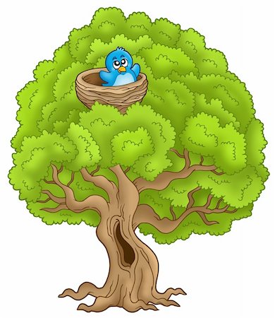 forest cartoon illustration - Big tree with blue bird in nest - color illustration. Foto de stock - Super Valor sin royalties y Suscripción, Código: 400-04235799