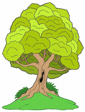 simsearch:400-04267385,k - Leafy tree on hill - vector illustration. Stockbilder - Microstock & Abonnement, Bildnummer: 400-04236077