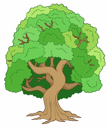 simsearch:400-08621985,k - Green leafy tree - vector illustration. Stock Photo - Budget Royalty-Free & Subscription, Code: 400-04236278