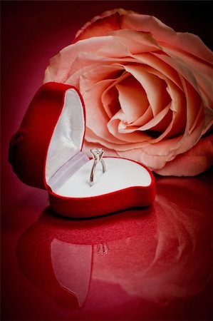 simsearch:400-04307995,k - Close-up of pink rose with diamond ring Fotografie stock - Microstock e Abbonamento, Codice: 400-04238297