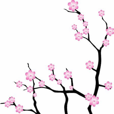 Oriental cherry branch. Vector Illustration Foto de stock - Super Valor sin royalties y Suscripción, Código: 400-04238302