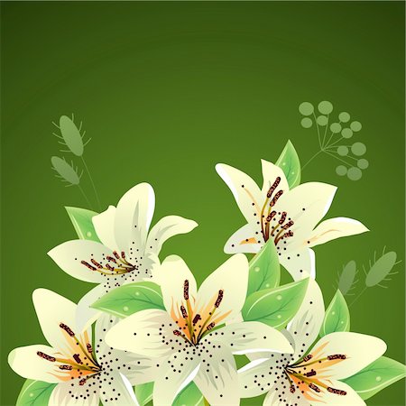 Big summer bunch of white lilies and plants Stock Photo - Budget Royalty-Free & Subscription, Code: 400-04239193