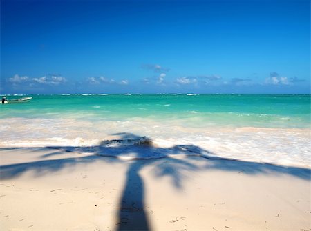 The shadow of the palms on the ocean. Dominican Republic Stock Photo - Budget Royalty-Free & Subscription, Code: 400-04239954