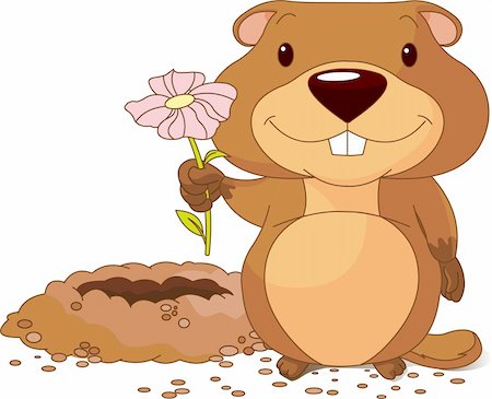 simsearch:400-04274928,k - Cute  groundhog holding a first spring flower near his hole Photographie de stock - Aubaine LD & Abonnement, Code: 400-04239972