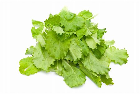 simsearch:400-04879197,k - Fresh lettuce Stock Photo - Budget Royalty-Free & Subscription, Code: 400-04230274
