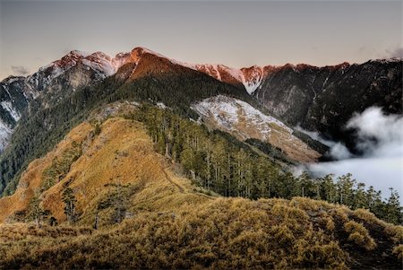 simsearch:400-04851123,k - Beautiful mountain landscape with snow peak, grassland and forest in sunrise in Taiwan, Asia. Foto de stock - Super Valor sin royalties y Suscripción, Código: 400-04230944