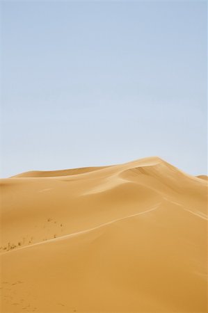 simsearch:400-05192544,k - sahara desert and cloudless moody sky above Stock Photo - Budget Royalty-Free & Subscription, Code: 400-04230945