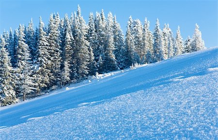 simsearch:400-04319458,k - Winter mountain view with snow surface on mountainside in front and fir forest behind. Stock Photo - Budget Royalty-Free & Subscription, Code: 400-04231006