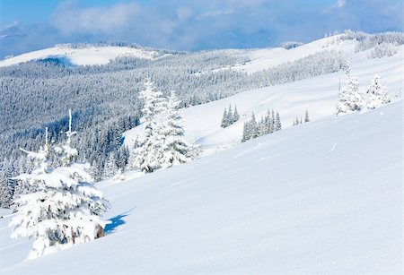 simsearch:400-06861143,k - Winter mountain view with snow surface on mountainside in front and fir forest behind.  (Carpathian Mountains, Ukraine) Foto de stock - Super Valor sin royalties y Suscripción, Código: 400-04231009