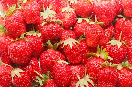 simsearch:400-07823938,k - fresh strawberry Photographie de stock - Aubaine LD & Abonnement, Code: 400-04231409