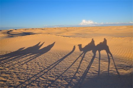 saltywind (artist) - Shadow of caravan on the Sahara desert sand Foto de stock - Super Valor sin royalties y Suscripción, Código: 400-04231678