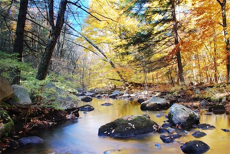 simsearch:400-05680546,k - Autumn creek woods with yellow trees foliage and rocks in forest mountain. Stock Photo - Budget Royalty-Free & Subscription, Code: 400-04231873