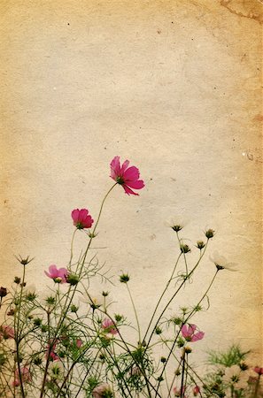 old flower paper textures - perfect background with space Foto de stock - Super Valor sin royalties y Suscripción, Código: 400-04232183