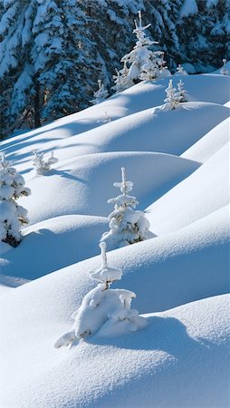 simsearch:400-04319458,k - Snowdrifts on winter snow covered mountainside and fir trees on hill top Stock Photo - Budget Royalty-Free & Subscription, Code: 400-04232364