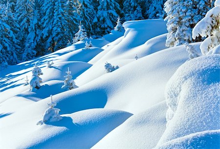 simsearch:400-04319458,k - Snowdrifts on winter snow covered mountainside and fir trees on hill top Stock Photo - Budget Royalty-Free & Subscription, Code: 400-04232365