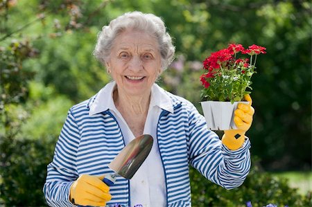 edbockstock (artist) - A smiling senior woman is standing with a trowel and holding a starter plant she is getting ready to plant. Horizontal shot. Photographie de stock - Aubaine LD & Abonnement, Code: 400-04232360