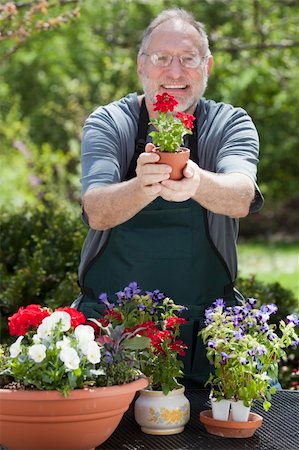 edbockstock (artist) - Man smiles at the camera while gardening with potted plants outdoors. Photographie de stock - Aubaine LD & Abonnement, Code: 400-04232363