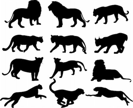 silhouette lion - big cats silhouette collection - vector Stock Photo - Budget Royalty-Free & Subscription, Code: 400-04233312