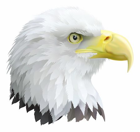 simsearch:841-03872755,k - Illustration of a eagles head in profile. Photographie de stock - Aubaine LD & Abonnement, Code: 400-04233404