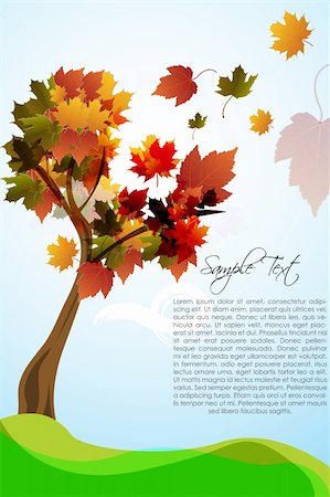 illustration of autumn maple tree Stock Photo - Budget Royalty-Free & Subscription, Code: 400-04233857