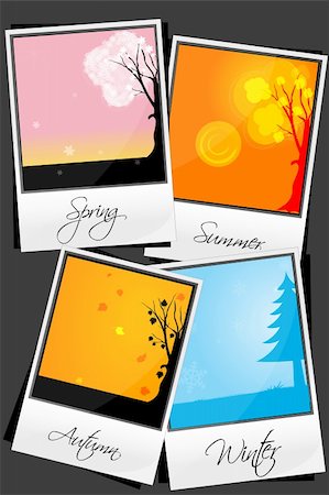 four seasons maple - illustration of types of season Stock Photo - Budget Royalty-Free & Subscription, Code: 400-04233876