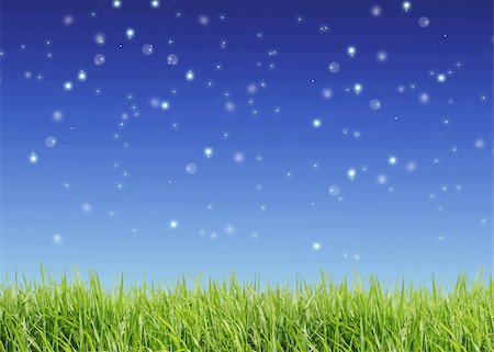 simsearch:400-07830872,k - Close up of the green grass on  sky background Foto de stock - Royalty-Free Super Valor e Assinatura, Número: 400-04240537