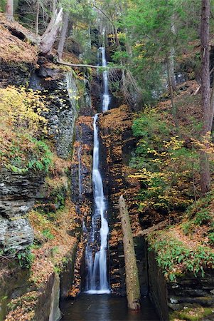 simsearch:400-04240598,k - Autumn Waterfall in mountain with foliage and woods over rocks. Silver Thread Falls from Dingmans Falls Pennsylvania. Foto de stock - Royalty-Free Super Valor e Assinatura, Número: 400-04240596