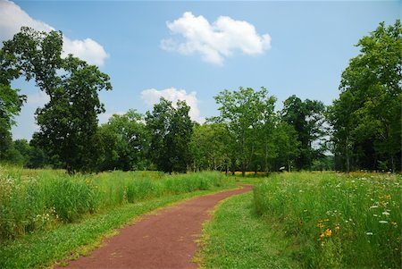 simsearch:400-05716719,k - Quiet rural trail with trees, grass and blue cloudy sky. Stock Photo - Budget Royalty-Free & Subscription, Code: 400-04240591