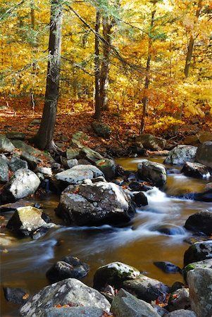 simsearch:400-05680546,k - Autumn creek woods with yellow trees foliage and rocks in forest mountain. Stock Photo - Budget Royalty-Free & Subscription, Code: 400-04240616