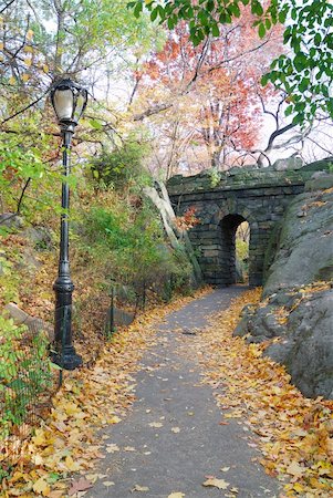 Stone bridge in Autumn in New York City Central park. Stock Photo - Budget Royalty-Free & Subscription, Code: 400-04240610