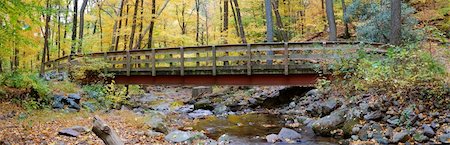 simsearch:400-04240598,k - Autumn forest with wood bridge panorama over creek in yellow maple forest with trees and colorful foliage. Foto de stock - Royalty-Free Super Valor e Assinatura, Número: 400-04240638