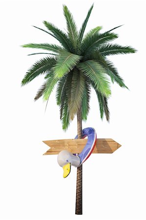wooden signs hanging on the trunk of a palm. isolated on white. Stock Photo - Budget Royalty-Free & Subscription, Code: 400-04241233