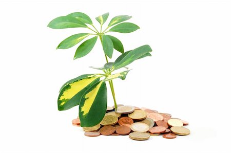 exile - island with money coins and leaves showing tax shelter concept Stock Photo - Budget Royalty-Free & Subscription, Code: 400-04241432