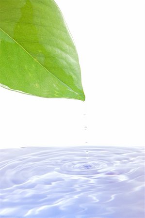 health and wellness concept with splashing water drop and leaf Stock Photo - Budget Royalty-Free & Subscription, Code: 400-04241453